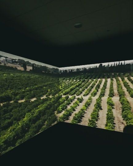 Centenaire d'une ETI agricole - Séminaire d'entreprise - Domaine de Preissac - photo 6 sur 7
